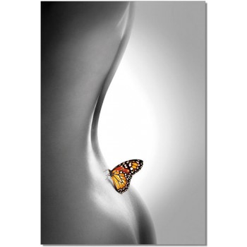 Premium Acrylic Wall Art Butterfly - SB6889 by J&M Furniture