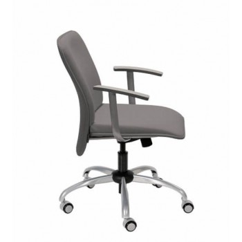 Verso Office Chair w/Veneer Armrests, Low Back