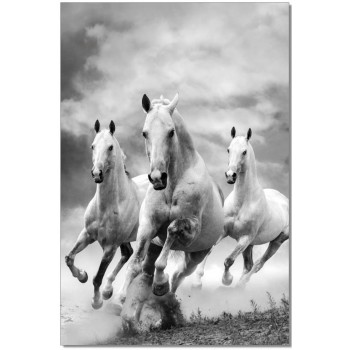 Premium Acrylic Wall Art Galloping Horses - SB-61081 by J&M Furniture