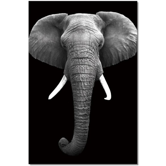 Premium Acrylic Wall Art Elephant - SB-61130 photo