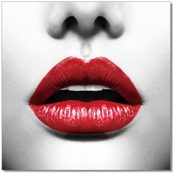 Premium Acrylic Wall Art Red Lips  - SB-61116 by J&M Furniture