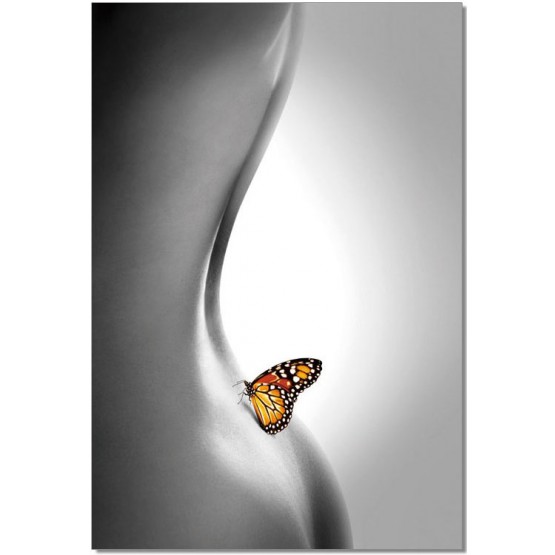 Premium Acrylic Wall Art Butterfly - SB6889 photo