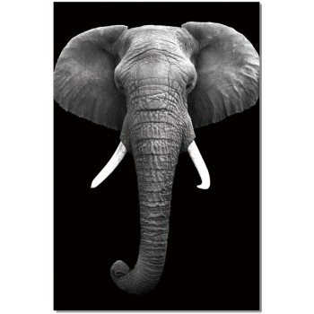 Premium Acrylic Wall Art Elephant - SB-61130 by J&M Furniture